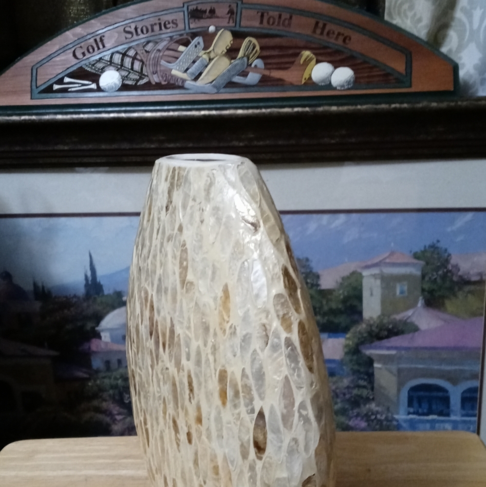 π€πFire Fly Mother of pearl vaseππππSize 12"Γ11",A Nice Gift Item.ππππ - Picture 6 of 7